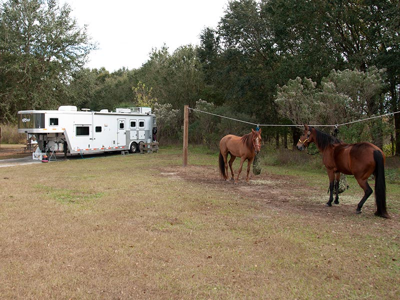 Equestrian Camping